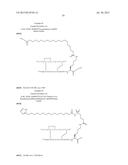 PROTEASE STABILIZED ACYLATED INSULIN ANALOGUES diagram and image