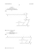 PROTEASE STABILIZED ACYLATED INSULIN ANALOGUES diagram and image