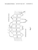 Method and Composition for Crystallizing G Protein-Coupled Receptors diagram and image