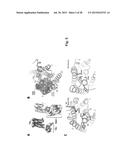 Method and Composition for Crystallizing G Protein-Coupled Receptors diagram and image