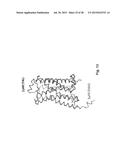 Method and Composition for Crystallizing G Protein-Coupled Receptors diagram and image