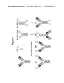 ENHANCEMENT OF TRANSPORT OF THERAPEUTIC MOLECULES ACROSS THE BLOOD BRAIN     BARRIER diagram and image