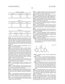 Novel Polymer Compositions and Methods of Making and Using Same diagram and image