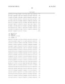 COMPLEX CHROMOSOME ENGINEERING FOR PRODUCTION OF HUMAN ANTIBODIES IN     TRANSGENIC ANIMALS diagram and image