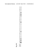 COMPLEX CHROMOSOME ENGINEERING FOR PRODUCTION OF HUMAN ANTIBODIES IN     TRANSGENIC ANIMALS diagram and image