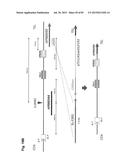 COMPLEX CHROMOSOME ENGINEERING FOR PRODUCTION OF HUMAN ANTIBODIES IN     TRANSGENIC ANIMALS diagram and image