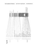 COMPLEX CHROMOSOME ENGINEERING FOR PRODUCTION OF HUMAN ANTIBODIES IN     TRANSGENIC ANIMALS diagram and image