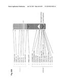 COMPLEX CHROMOSOME ENGINEERING FOR PRODUCTION OF HUMAN ANTIBODIES IN     TRANSGENIC ANIMALS diagram and image