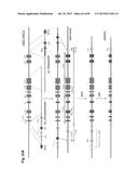 COMPLEX CHROMOSOME ENGINEERING FOR PRODUCTION OF HUMAN ANTIBODIES IN     TRANSGENIC ANIMALS diagram and image