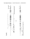 COMPLEX CHROMOSOME ENGINEERING FOR PRODUCTION OF HUMAN ANTIBODIES IN     TRANSGENIC ANIMALS diagram and image