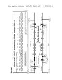 COMPLEX CHROMOSOME ENGINEERING FOR PRODUCTION OF HUMAN ANTIBODIES IN     TRANSGENIC ANIMALS diagram and image