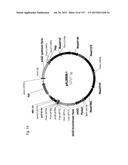 SEQUESTRATION OF CARBON DIOXIDE WITH HYDROGEN TO USEFUL PRODUCTS diagram and image