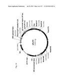 SEQUESTRATION OF CARBON DIOXIDE WITH HYDROGEN TO USEFUL PRODUCTS diagram and image