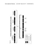 SEQUESTRATION OF CARBON DIOXIDE WITH HYDROGEN TO USEFUL PRODUCTS diagram and image