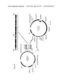 SEQUESTRATION OF CARBON DIOXIDE WITH HYDROGEN TO USEFUL PRODUCTS diagram and image