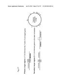 SEQUESTRATION OF CARBON DIOXIDE WITH HYDROGEN TO USEFUL PRODUCTS diagram and image