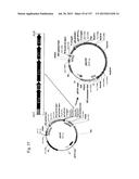 SEQUESTRATION OF CARBON DIOXIDE WITH HYDROGEN TO USEFUL PRODUCTS diagram and image