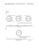 METHODS AND COMPOSITIONS FOR DETECTION OF SMALL RNAS diagram and image