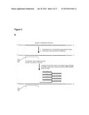 METHODS AND COMPOSITIONS FOR DETECTION OF SMALL RNAS diagram and image