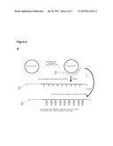 METHODS AND COMPOSITIONS FOR DETECTION OF SMALL RNAS diagram and image