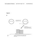 METHODS AND COMPOSITIONS FOR DETECTION OF SMALL RNAS diagram and image