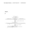 METHODS AND COMPOSITIONS FOR DETECTION OF SMALL RNAS diagram and image