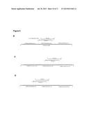 METHODS AND COMPOSITIONS FOR DETECTION OF SMALL RNAS diagram and image