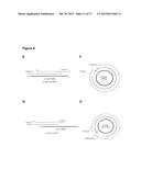 METHODS AND COMPOSITIONS FOR DETECTION OF SMALL RNAS diagram and image