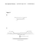 METHODS AND COMPOSITIONS FOR DETECTION OF SMALL RNAS diagram and image