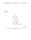 METHODS AND COMPOSITIONS FOR DETECTION OF SMALL RNAS diagram and image