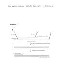 METHODS AND COMPOSITIONS FOR DETECTION OF SMALL RNAS diagram and image