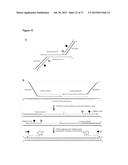 METHODS AND COMPOSITIONS FOR DETECTION OF SMALL RNAS diagram and image