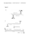 METHODS AND COMPOSITIONS FOR DETECTION OF SMALL RNAS diagram and image