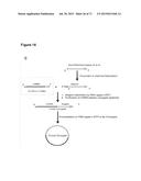 METHODS AND COMPOSITIONS FOR DETECTION OF SMALL RNAS diagram and image