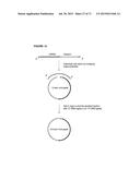 METHODS AND COMPOSITIONS FOR DETECTION OF SMALL RNAS diagram and image