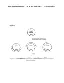 METHODS AND COMPOSITIONS FOR DETECTION OF SMALL RNAS diagram and image