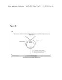 METHODS AND COMPOSITIONS FOR DETECTION OF SMALL RNAS diagram and image