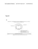 METHODS AND COMPOSITIONS FOR DETECTION OF SMALL RNAS diagram and image