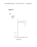 METHODS AND COMPOSITIONS FOR DETECTION OF SMALL RNAS diagram and image