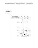 METHODS AND COMPOSITIONS FOR DETECTION OF SMALL RNAS diagram and image