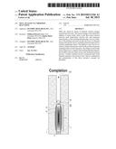 WELL SEALING VIA THERMITE REACTIONS diagram and image