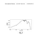 CONFIGURABLE COMBINATION SPECTROMETER AND POLARIZER diagram and image