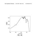 CONFIGURABLE COMBINATION SPECTROMETER AND POLARIZER diagram and image