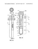 BIOLOGICAL LIQUID COLLECTION VESSELS, SYSTEMS, AND METHODS diagram and image