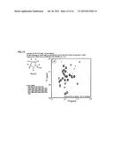 STABLE ISOTOPE-LABELED ALIPHATIC AMINO ACID AND NMR STRUCTURAL ANALYSIS OF     PROTEIN USING SAME diagram and image