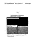 L-glucose derivatives having fluorescent chromophore diagram and image