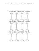 Zoom Lens and Image Pickup Apparatus Using the Same diagram and image