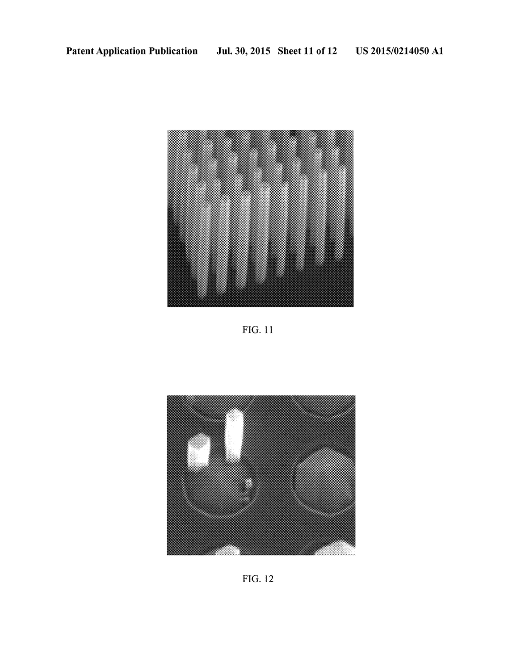 NANOWIRE ARTICLE AND PROCESSES FOR MAKING AND USING SAME - diagram, schematic, and image 12