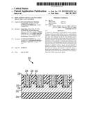 REPLACEMENT METAL GATE INCLUDING DIELECTRIC GATE MATERIAL diagram and image