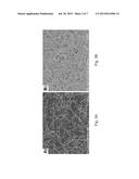 CNT Thin Film Transistor With High K Polymeric Dielectric diagram and image